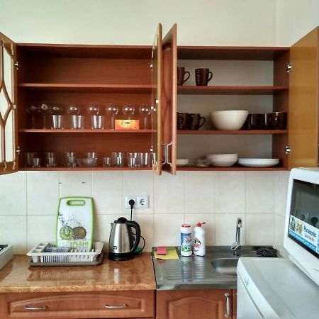 Apartments Domovik Просторная Квартира С Видом На Горы Munkács Kültér fotó