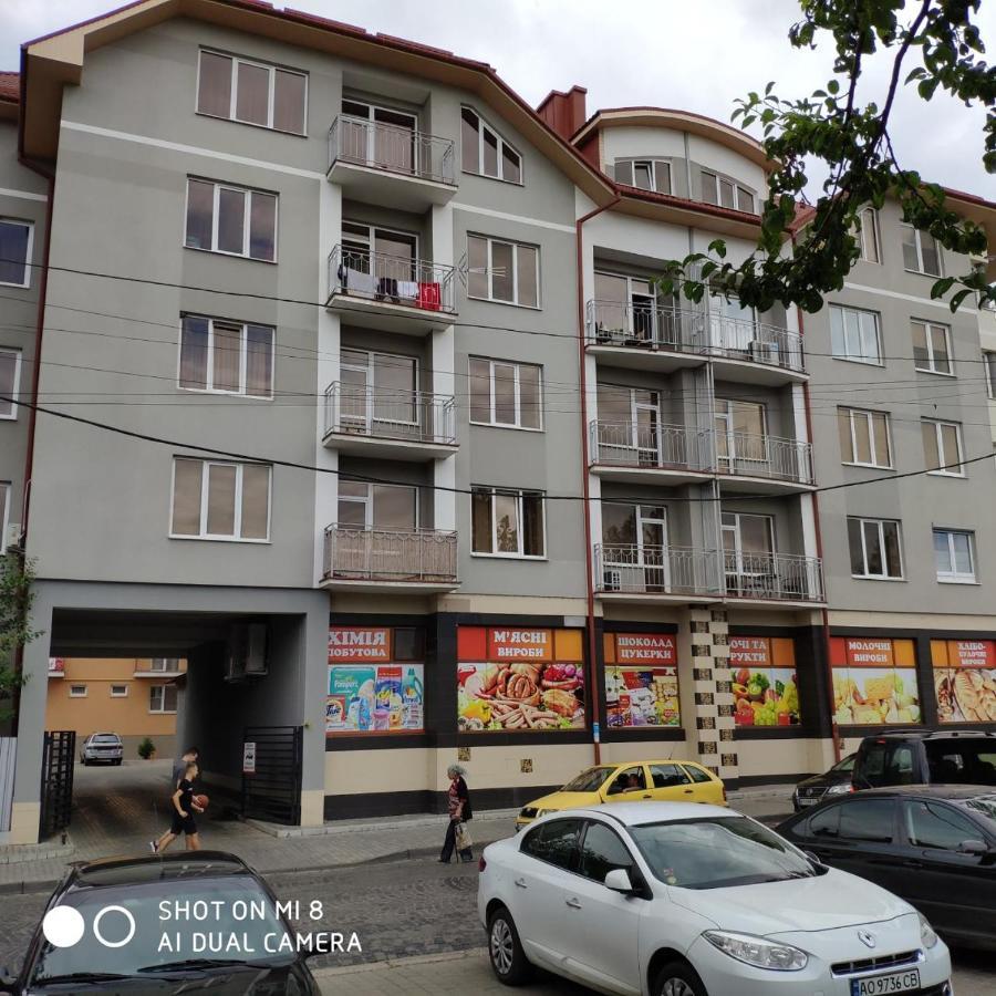 Apartments Domovik Просторная Квартира С Видом На Горы Munkács Kültér fotó